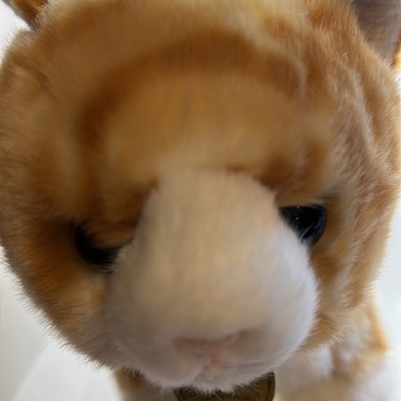 Miyoni by Aurora Plush snowy yellow tabby - Picture 7 of 8